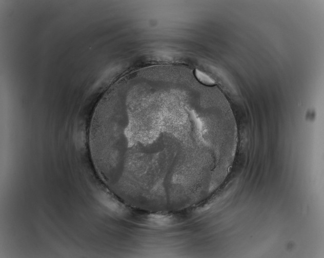 X0000102020457200807251335