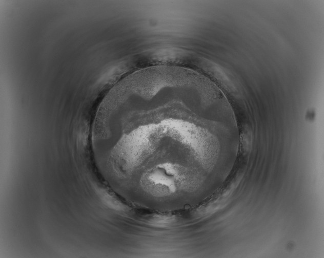 X0000102020458200807251335