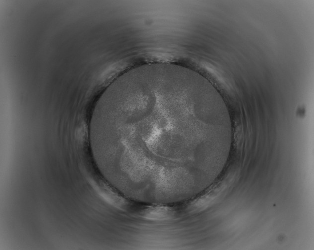 X0000102020459200807251335