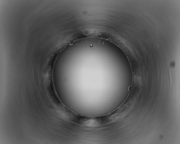 X0000102020460200807251335