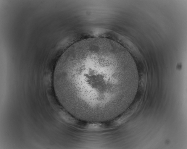 X0000102020461200807251335