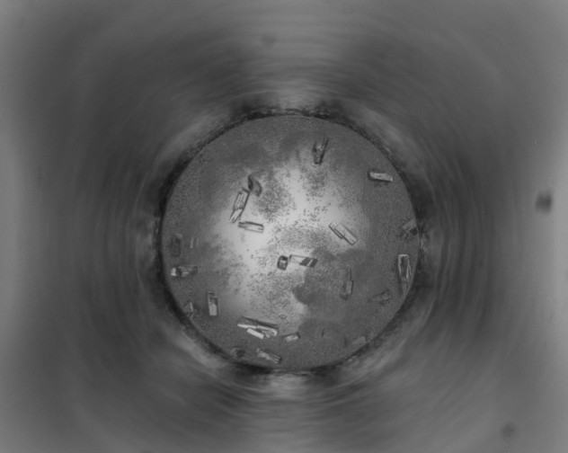 X0000102020462200807251336
