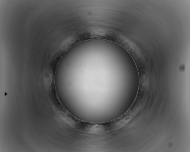X0000102020463200807251336