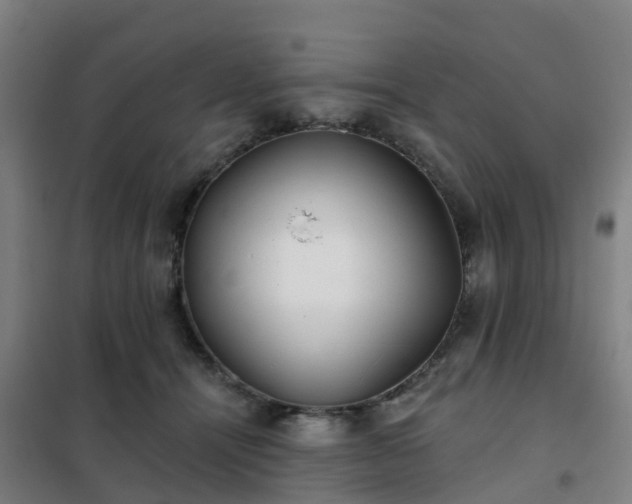 X0000102020464200807251336