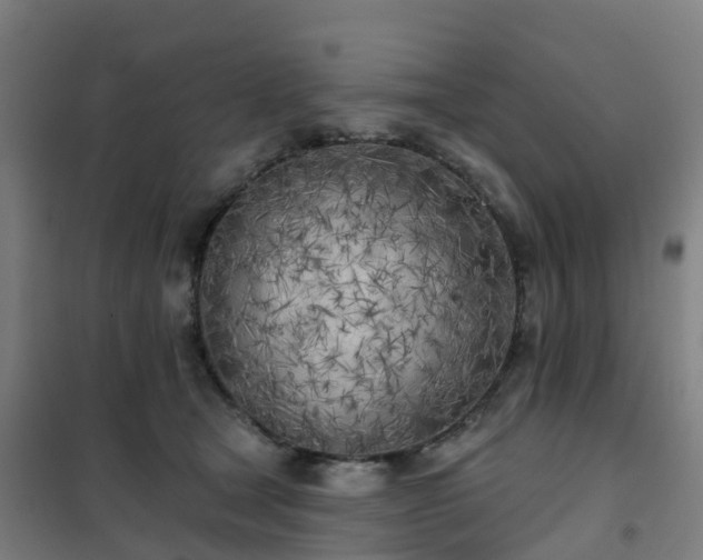X0000102020465200807251336