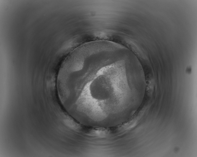 X0000102020466200807251336