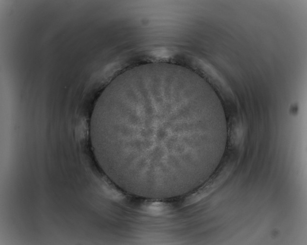 X0000102020467200807251336