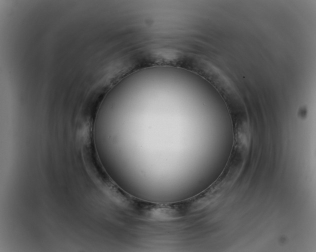 X0000102020468200807251336
