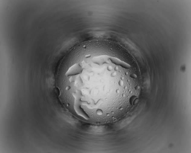 X0000102020469200807251336