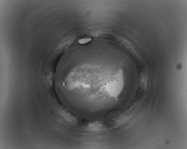 X0000102020470200807251336