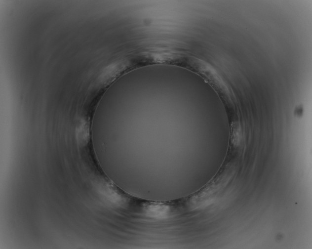 X0000102020471200807251336