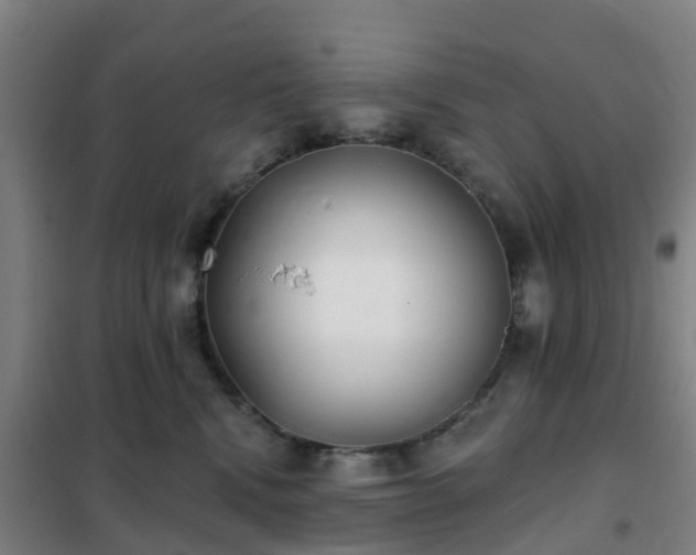 X0000102020472200807251336