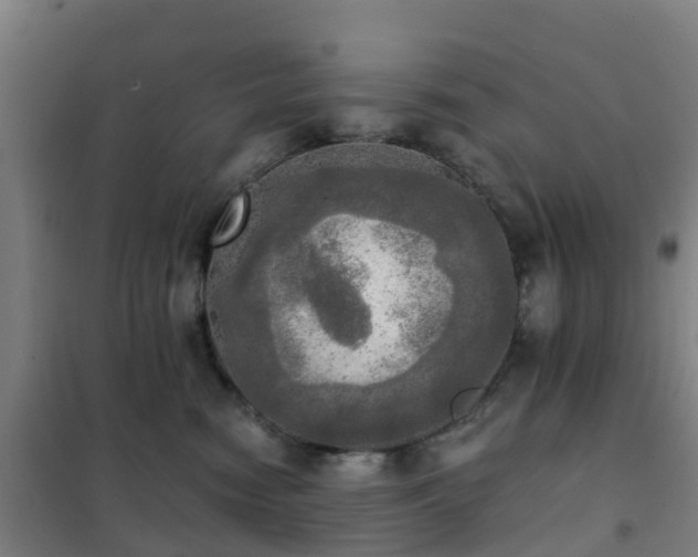 X0000102020474200807251336