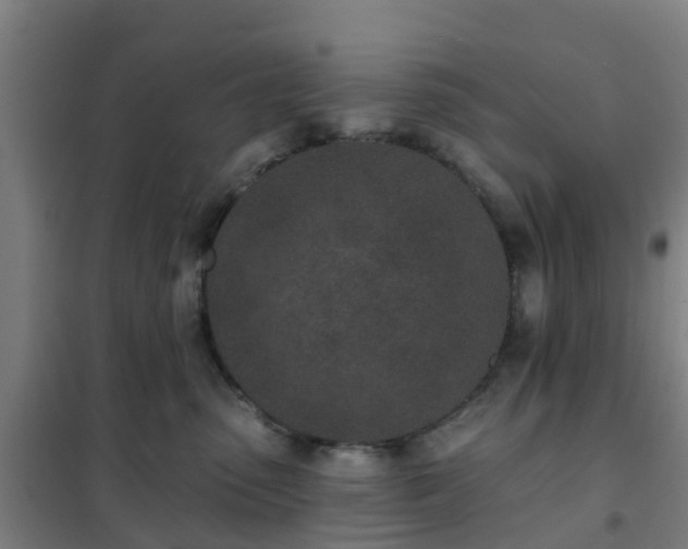 X0000102020475200807251336