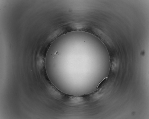 X0000102020476200807251336