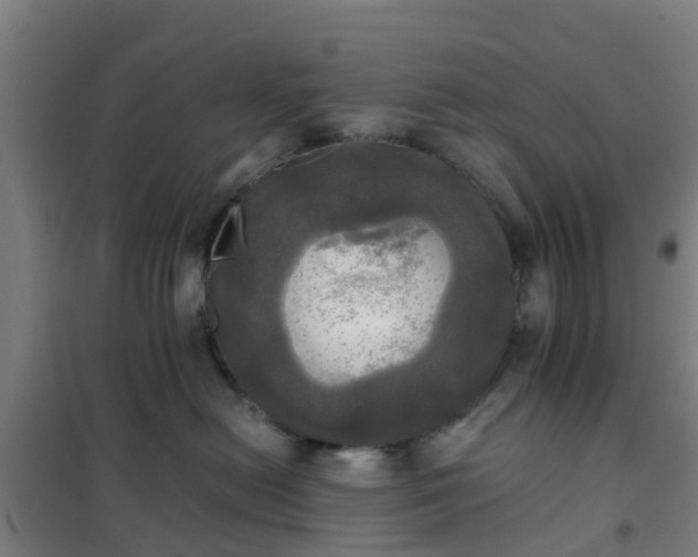 X0000102020478200807251336