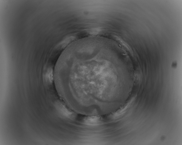 X0000102020479200807251336