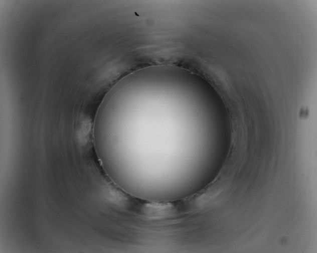 X0000102020480200807251336