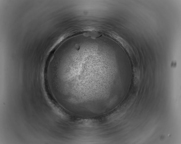 X0000102020482200807251335