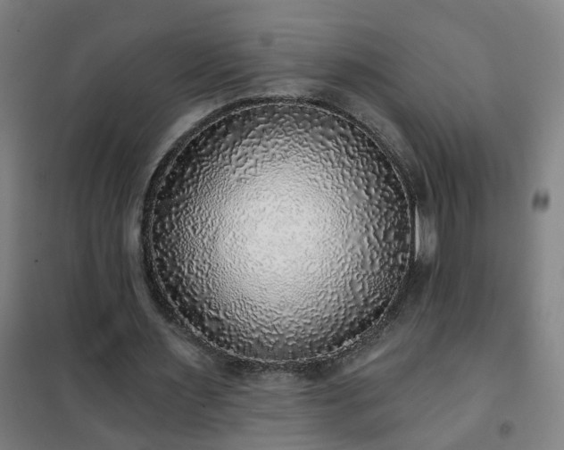 X0000102020483200807251335