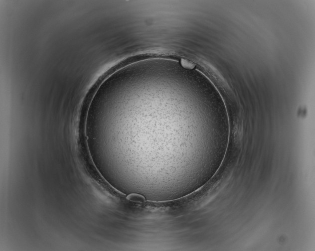 X0000102020484200807251335