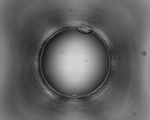 X0000102020485200807251335