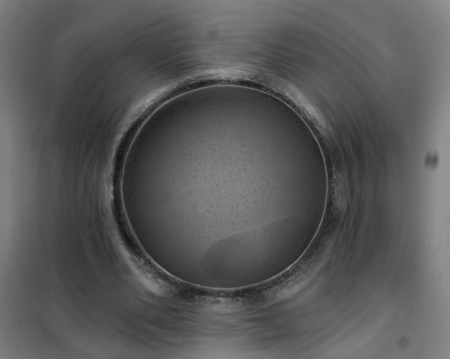 X0000102020486200807251335