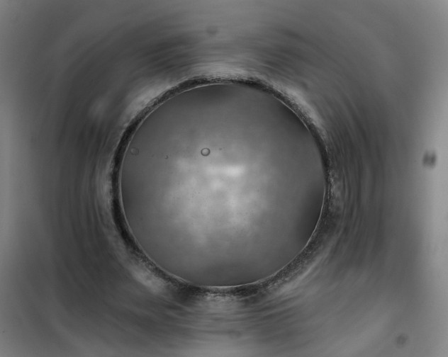 X0000102020487200807251335