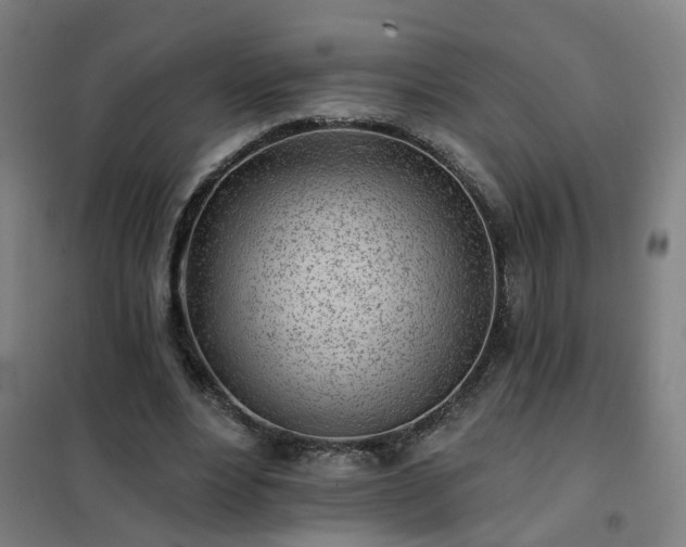 X0000102020488200807251335