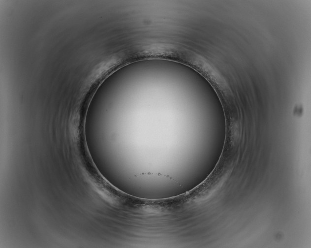 X0000102020490200807251335