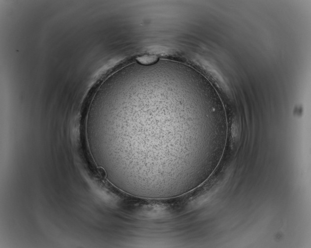X0000102020492200807251335