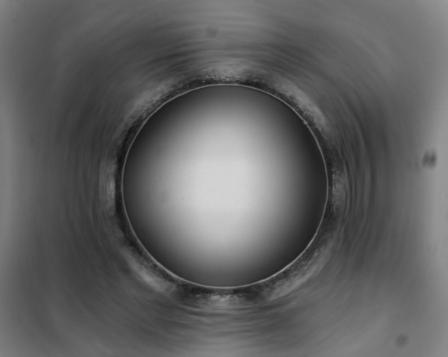 X0000102020493200807251335