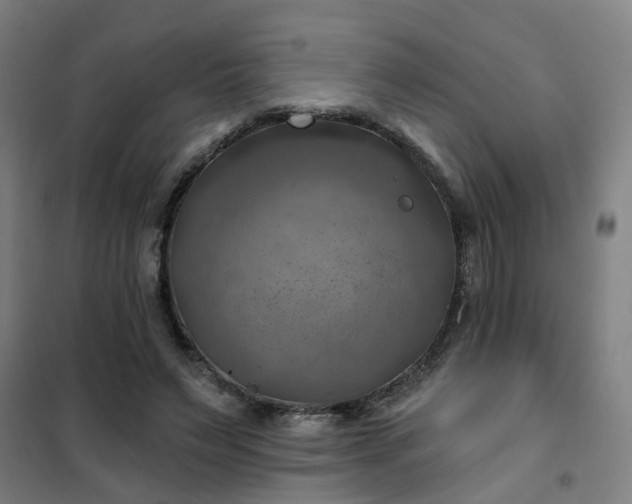 X0000102020495200807251335