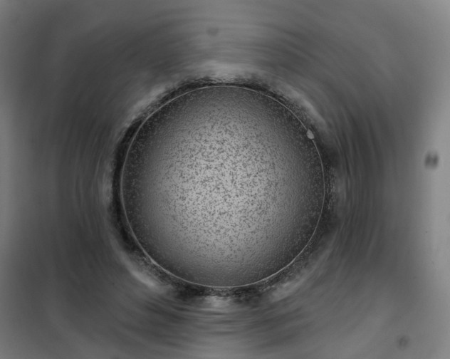 X0000102020496200807251335