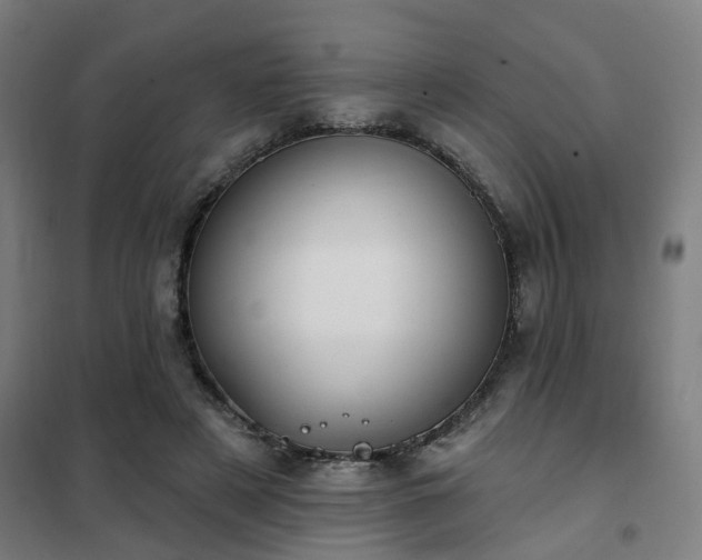 X0000102020497200807251335