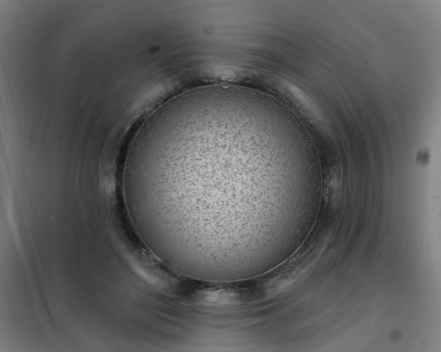 X0000102020500200807251335