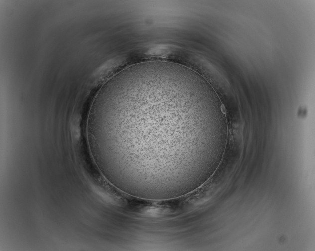 X0000102020504200807251335