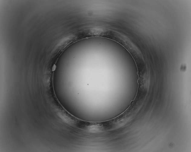 X0000102020505200807251335