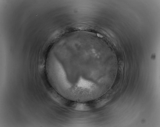 X0000102020507200807251335