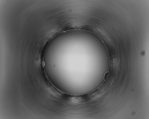 X0000102020508200807251335