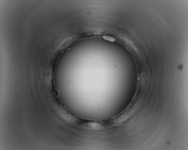 X0000102020509200807251335