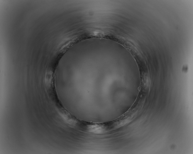 X0000102020511200807251335
