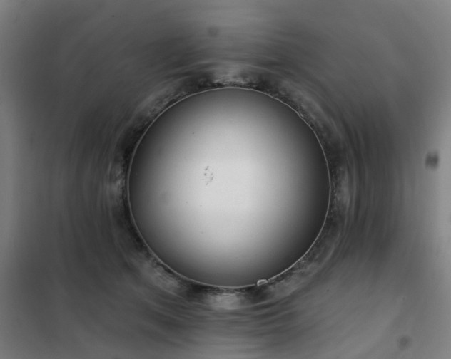X0000102020513200807251335