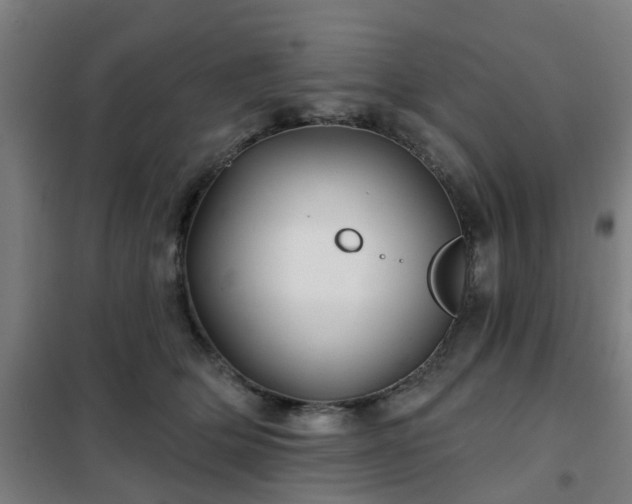 X0000102020514200807251335
