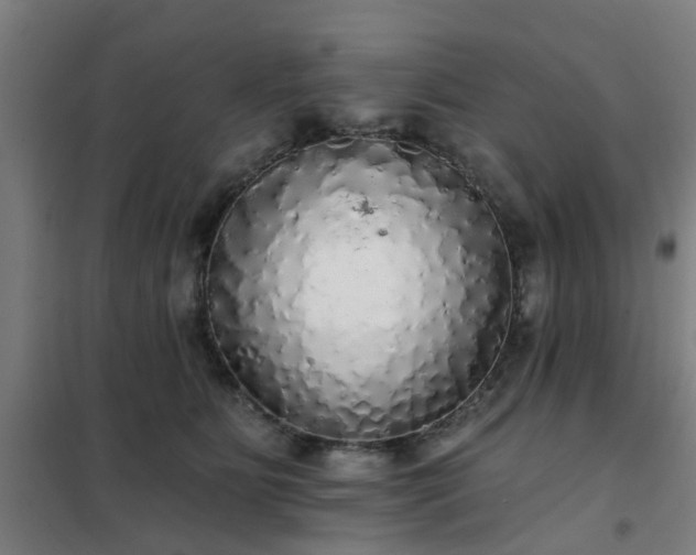 X0000102020515200807251335