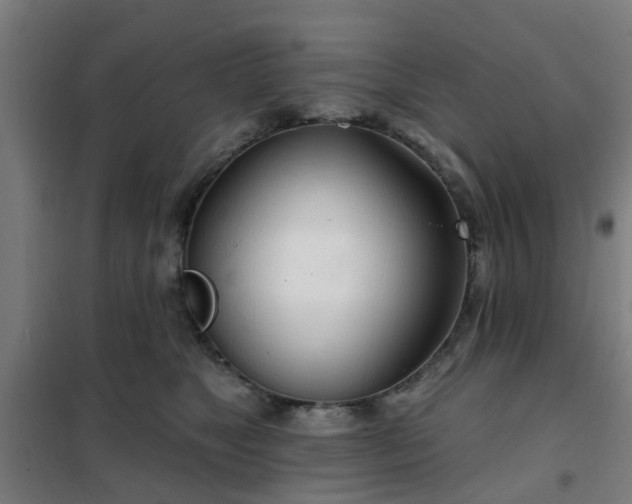 X0000102020517200807251335
