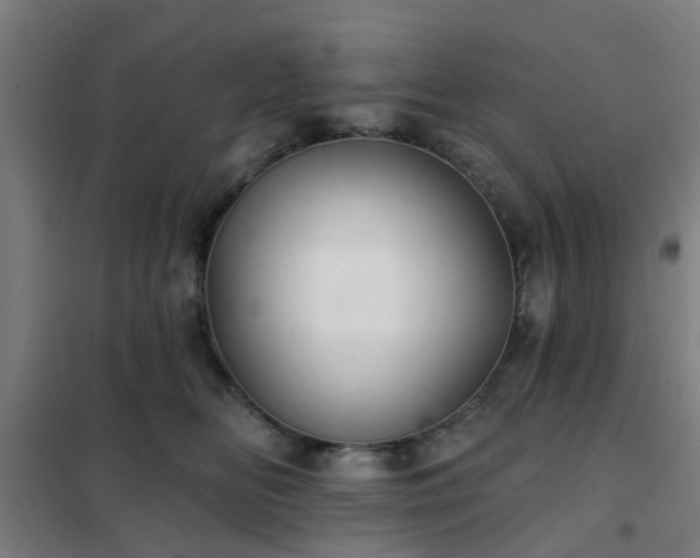 X0000102020518200807251335