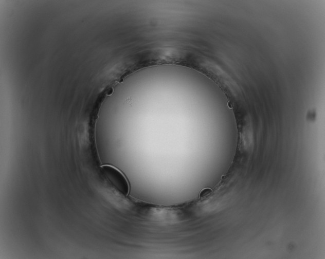 X0000102020520200807251335