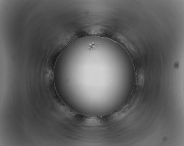 X0000102020521200807251335