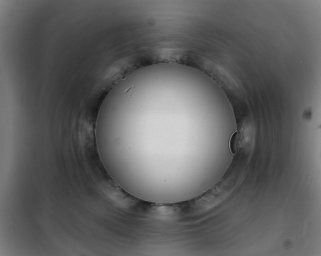 X0000102020522200807251335